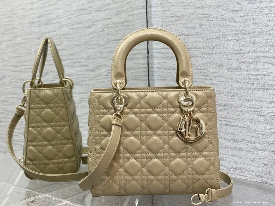 Tony Luxuries Lady diro Gold large Calfskin-24cm 0629